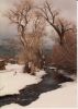 Filename=1993-01_Taos_Pueblo_Creek_a_28Large29.jpg
Filesize=150KiB
Dimensions=774x1080
Date added=Sep 24, 2016 1993-01_Taos_Pueblo_Creek_a_28Large29.jpg